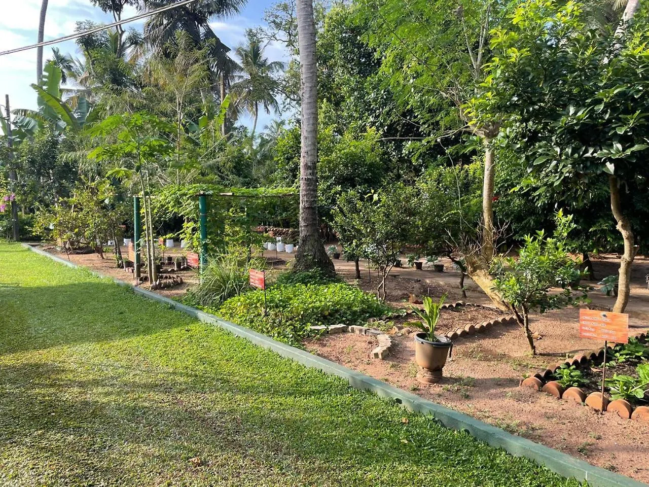 Villa Shade Negombo