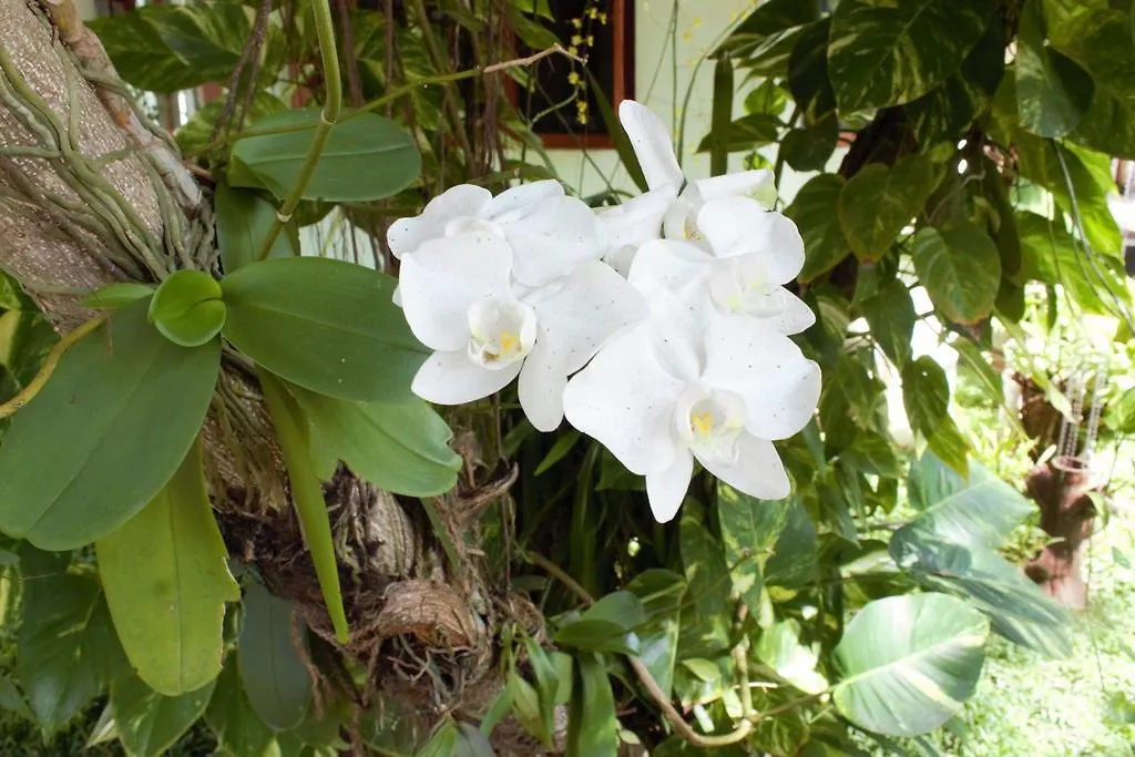 Villa Shade Negombo